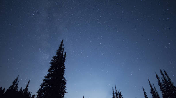 istock Wide angle vie of star covered night sky 845642684