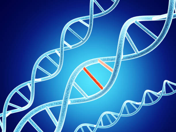 dna-struktur mit problem-element - deformiert stock-fotos und bilder