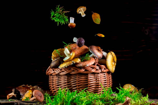 грибы в плетеной корзине - 숲주름버섯 뉴스 사진 이미지