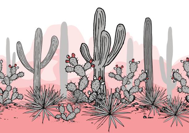 손 산, saguaro, 파란 용 설 란과 선인장 그려진된 완벽 한 패턴입니다. 라틴 아메리카 배경입니다. 멕시코 풍경 벡터 일러스트 레이 션입니다. - agave cactus natural pattern pattern stock illustrations
