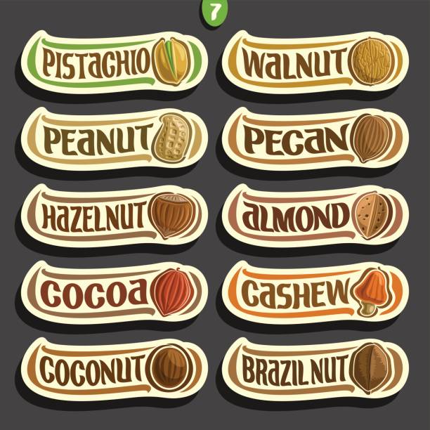 wektorowy zestaw etykiet nakrętek z tekstem - nut walnut almond brazil nut stock illustrations