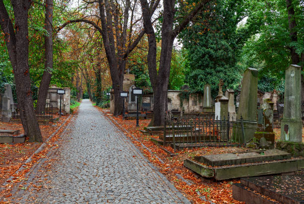 istock Alley among graves on cemetery in Prague. 845680988