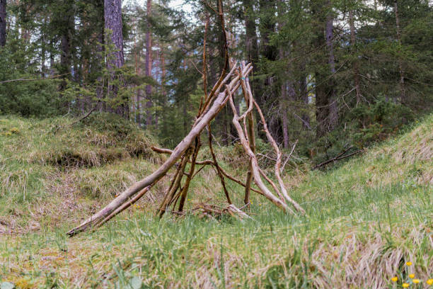 istock Branches stacked in a wigwam formation in a forest 845681304