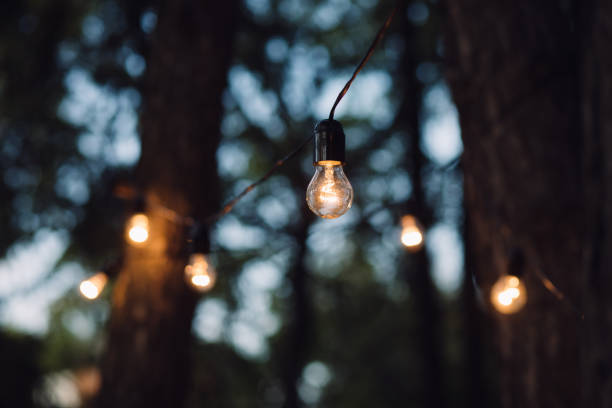 istock Lamp decoration in forest. Elements of the wedding decor in evening ceremony. 845681940