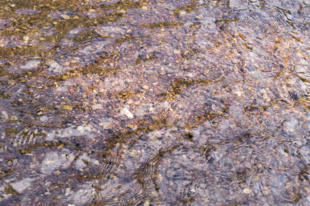 istock texture of water in river with sandy bottom. background, nature. 845687656