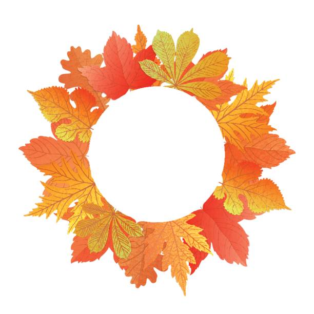 istock Wreath from autumn leaves of maple, oak, chestnut, mulberry. 845688344