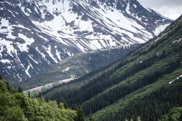 istock mountain range inn british columbia alaskan rockies 845688946