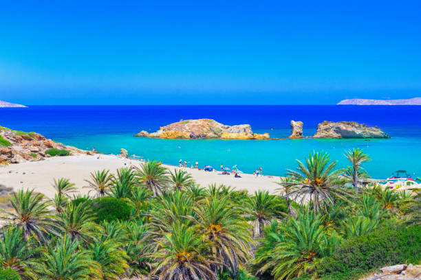 Scenic landscape of palm trees, turquoise water and tropical beach, Vai, Crete, Greece. Scenic landscape of palm trees, turquoise water and tropical beach, Vai, Crete, Greece. crete stock pictures, royalty-free photos & images