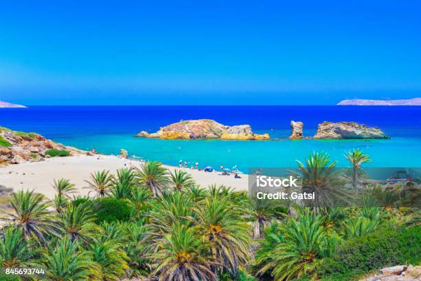 Scenic Landscape Of Palm Trees Turquoise Water And Tropical Beach Vai Crete Greece Stock Photo - Download Image Now
