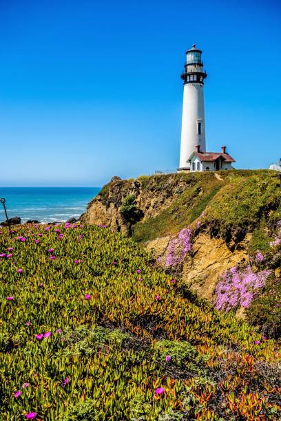 istock Lighthouse standing on big sure california coastline on pacific ocean 845697068