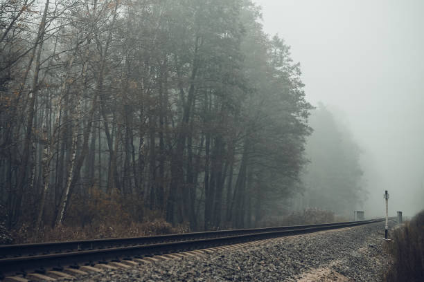 istock Railway in the forest in the fog 845697578