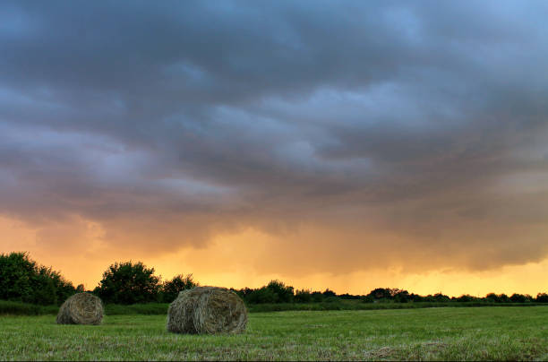 istock haystack in the field at sunset and a stork 845697622