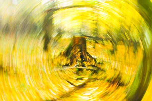 istock blurred yellow leaves, abstraction, blur circle 845697816