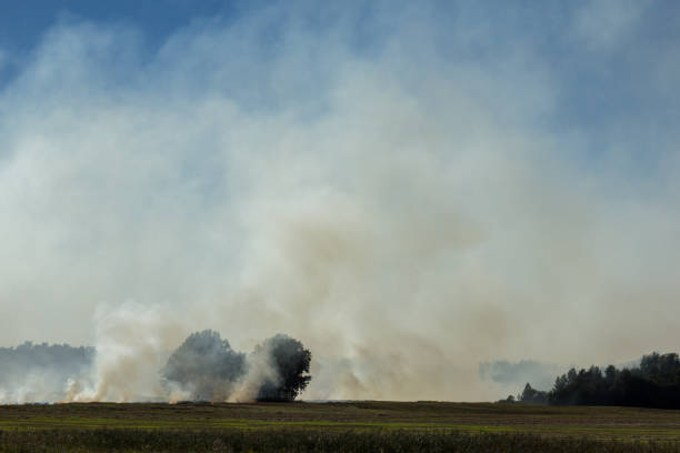 istock fire on the field, burning grass, white smoke on a sunny day 845702968