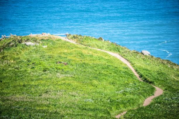 istock point reyes national seashore coast on pacific ocean 845703576