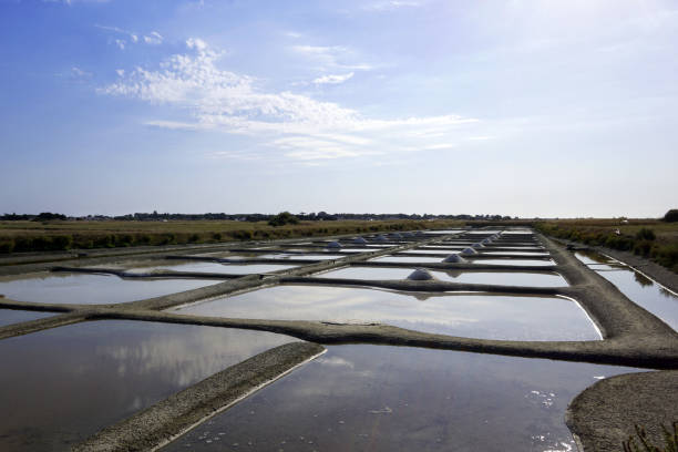 istock view of salt marshes 845703804