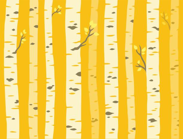 ilustrações de stock, clip art, desenhos animados e ícones de autumn aspen tree pattern - grove