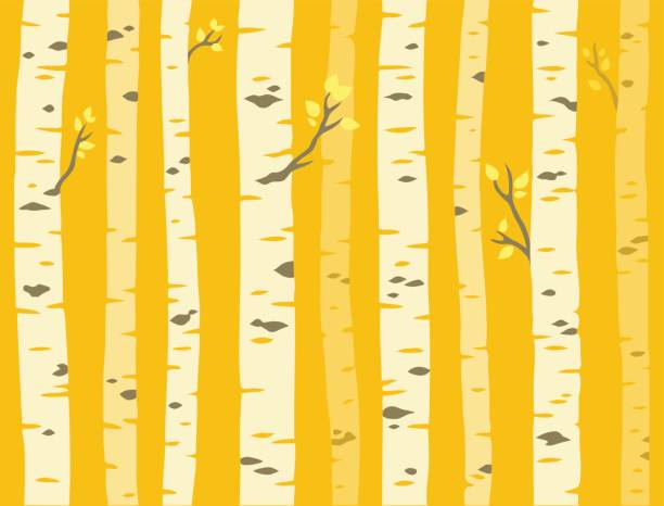 Autumn aspen tree pattern Autumn aspen grove, seamless tileable background pattern. Birch or aspen trees with yellow leaves. Vector illustration. aspen tree stock illustrations