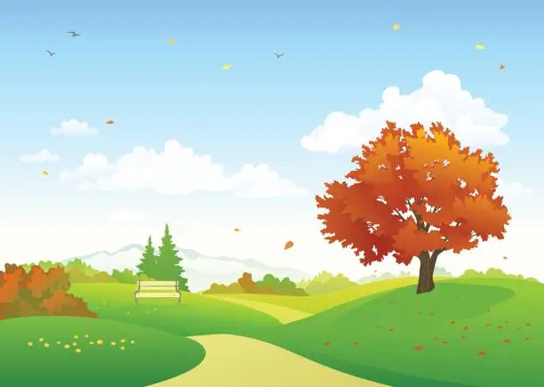 Vector illustration of Autumn park scenery
