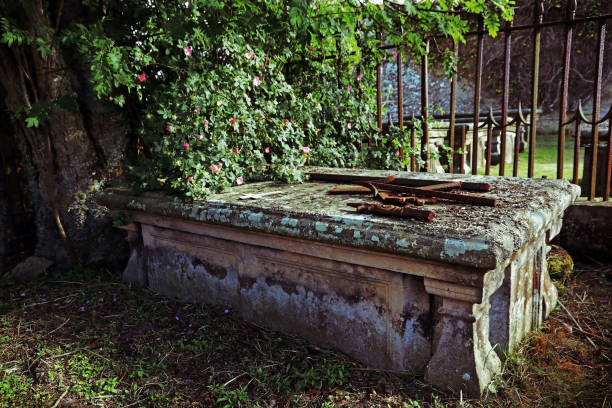 istock An old grave under a rosebush in a cemetery 845730276