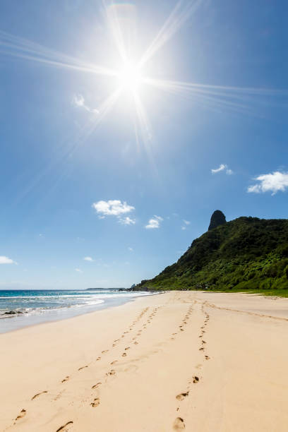 istock Footprints on deserted tropical idyllic beach in Fernando de Noronha 845732734