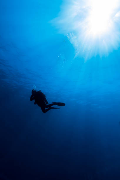 istock Scuba diving in clear blue water 845732796