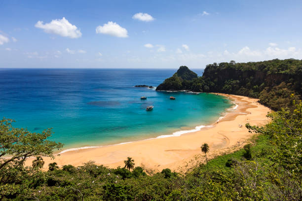 istock Sancho beach at Fernando de Noronha 845733146