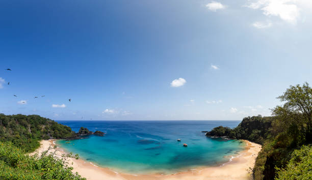 istock Sancho beach at Fernando de Noronha 845733170