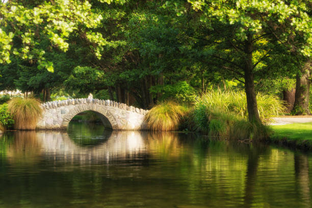 Beautiful bridge in a botanical garden under warm sunlight in summer reflecting over pond water. Shot in a garden in Queenstown, New Zealand.