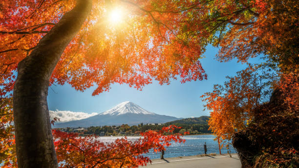 istock Mount Fuji in Autumn Color, Japan 845742968