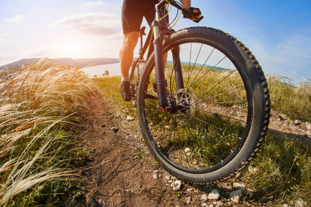 istock Young cyclist riding mountain bicycle through green meadow against beautiful sky. 845750026