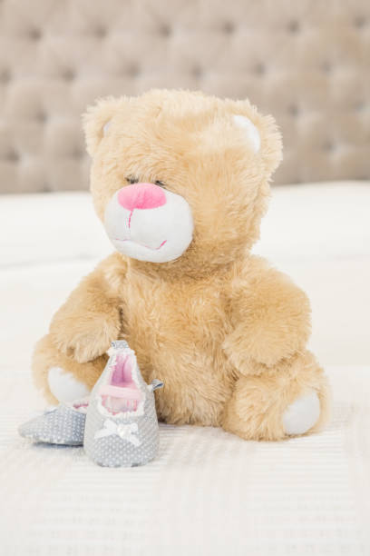 istock Plush and infant shoes 845766852