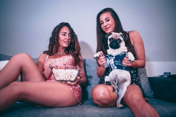 dos mujeres jugando con un pug y comer palomitas de maíz - young women sitting simple living eastern europe fotografías e imágenes de stock