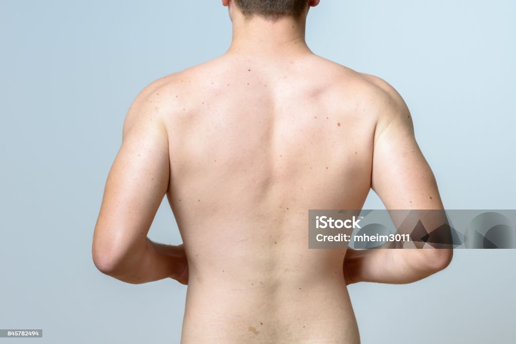 Upper torso of a fit muscular young man Bare upper torso of a fit muscular young man standing with hands on hips and back to the camera Rear View Stock Photo