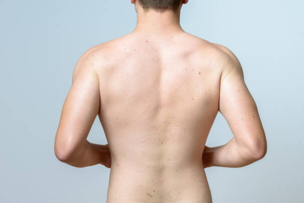 Upper torso of a fit muscular young man Bare upper torso of a fit muscular young man standing with hands on hips and back to the camera human back stock pictures, royalty-free photos & images