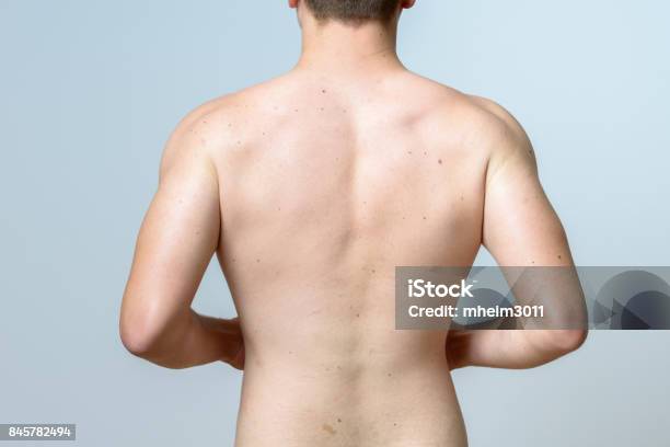 Upper Torso Of A Fit Muscular Young Man Stock Photo - Download Image Now - Rear View, Back, Men