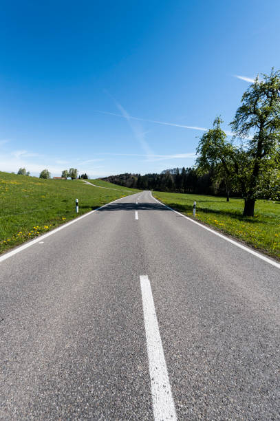 istock Asphalt road between  meadows  in Switzerland 845786000