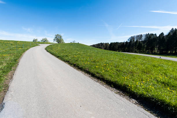 istock Asphalt road between  meadows  in Switzerland 845786006