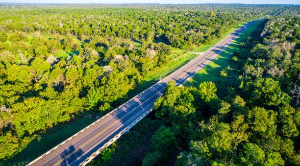 istock Bastrop , Texas Forest Aerial Drone bird's eye view long open road 845793262