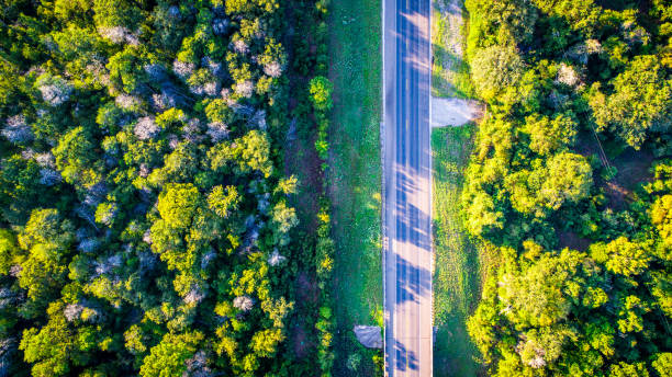 istock Bastrop , Texas Forest Aerial Drone bird's eye view 845796366