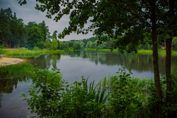 istock Beautiful pond in the holiday village 845797110