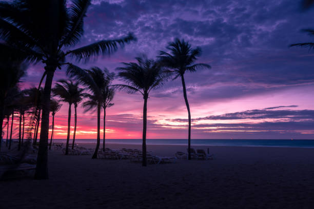 istock Palm trees silhouette at sunset on tropical island 845799486