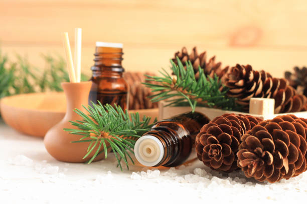 istock Medicinal amberglass dropper bottle with green fir-needle and cones, aromalamp diffuser for relaxing healthy spa. 845806336