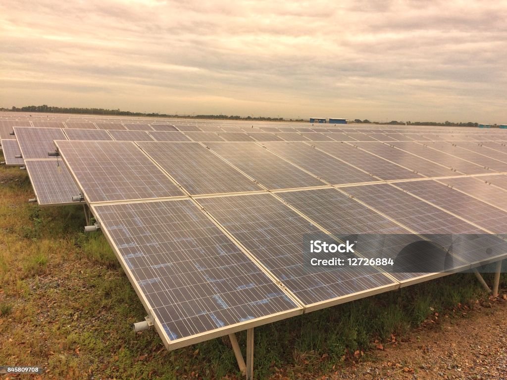 Cell Farm Solar Cell Farm Stock Photo - Download Image Now - Biological Cell ...