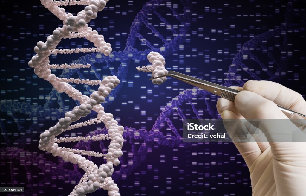 Genetic manipulation and DNA modification concept. CRISPR Stock Photo