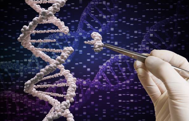 Genetic manipulation and DNA modification concept. stock photo