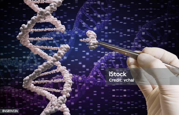Genetic Manipulation And Dna Modification Concept Stock Photo - Download Image Now - CRISPR, DNA, Editor