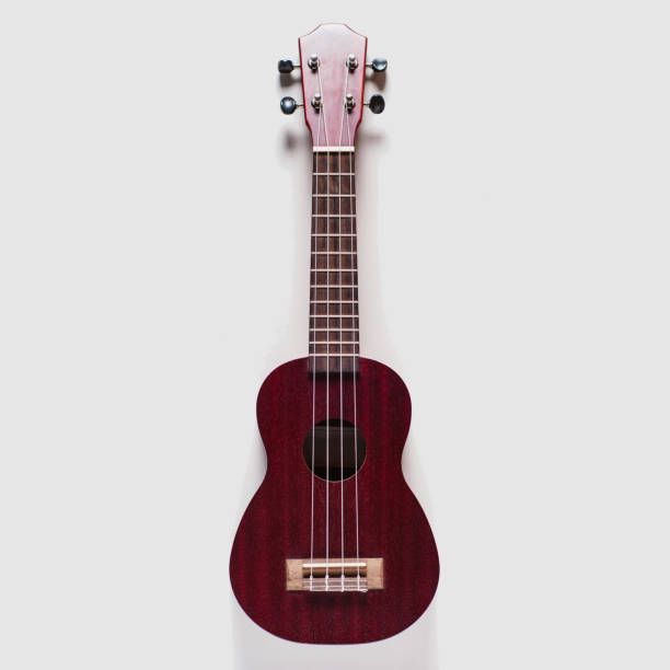 istock Ukulele on light background. Music or arts concept 845818040