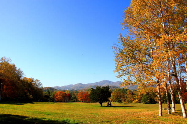 istock Park in Sapporo in autumn 845824414