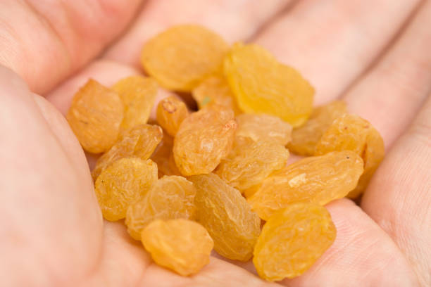 istock yellow raisins in hand. macro 845825282